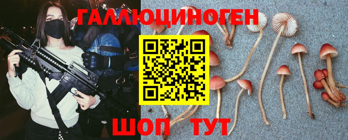 купить   Вход с VPN  Сибай  Псилоцибиновые грибы мицелий 